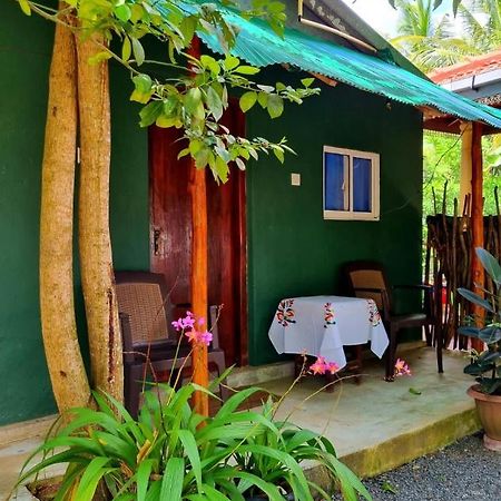 דיקוולה Helena Holiday Cottage מראה חיצוני תמונה