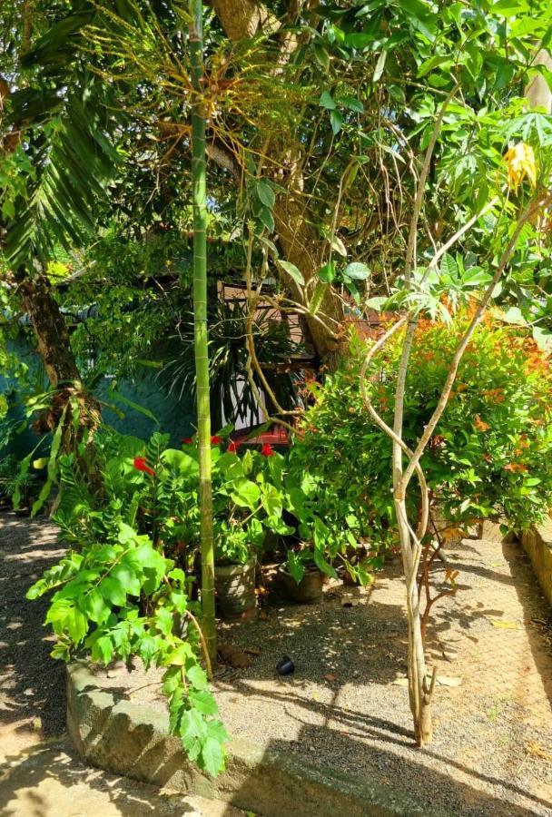 דיקוולה Helena Holiday Cottage מראה חיצוני תמונה