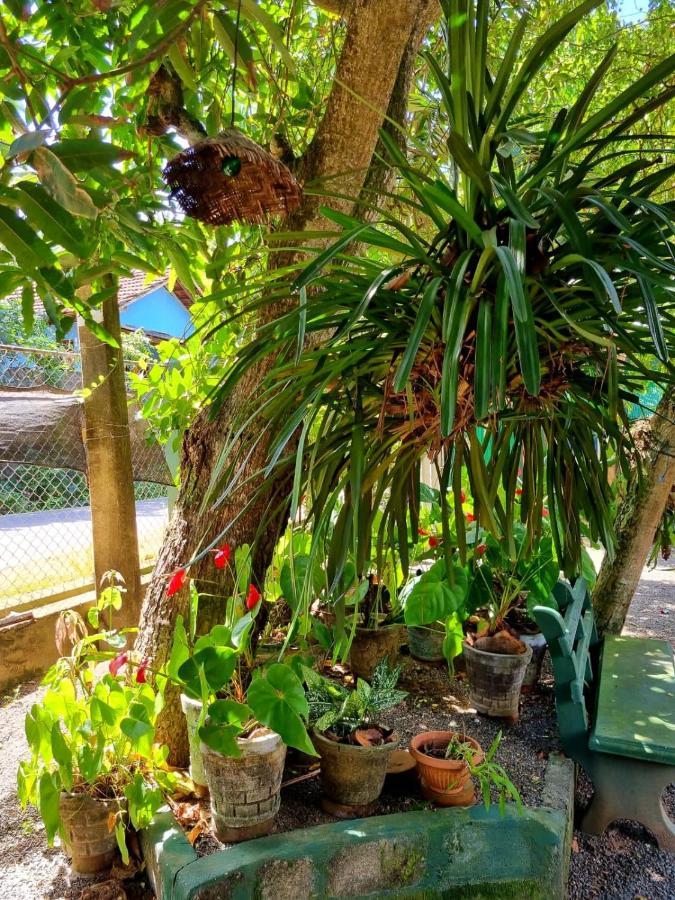 דיקוולה Helena Holiday Cottage מראה חיצוני תמונה